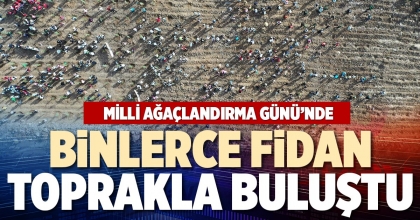BİNLERCE FİDAN TOPRAKLA BULUŞTU
