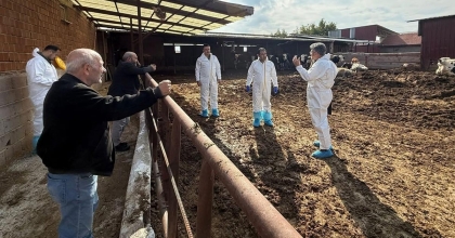 DENİZLİ’DE ŞAP HASTALIĞINA KARŞI TEDBİRLER ARTTIRILDI