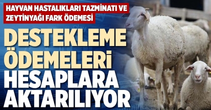 DESTEKLEME ÖDEMELERİ HESAPLARA AKTARILIYOR