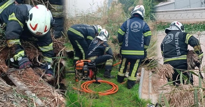 FOSSEPTİK ÇUKURUNA DÜŞEN KÖPEK KURTARILDI
