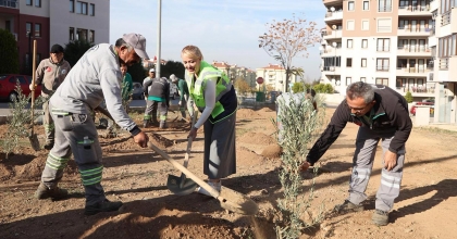 GERZELE’DE AĞAÇLANDIRMA ÇALIŞMASI
