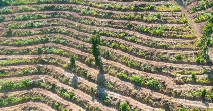 MİLLİ AĞAÇLANDIRMA GÜNÜNDE CANKURTARAN’A FİDAN DİKİLECEK