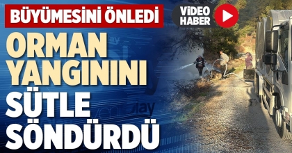 ORMAN YANGININI SÜTLE SÖNDÜRDÜ