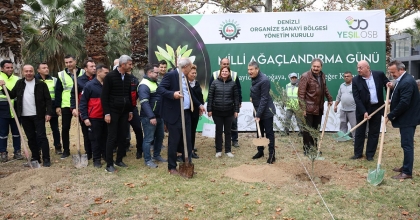 OSB ALANI İÇİNE FİDAN DİKTİLER