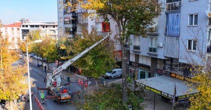 PARK VE YEŞİL ALANLARDA BUDAMA ÇALIŞMALARI SÜRÜYOR