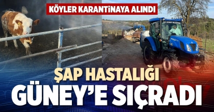 ŞAP HASTALIĞI GÜNEY’E SIÇRADI