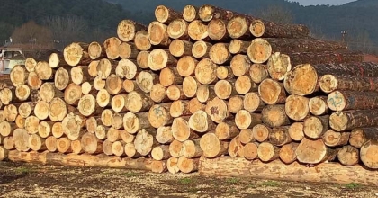 ORMAN EMVALİ İSTİFLEME İŞİ YAPTIRILACAK