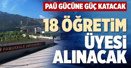 118 ÖĞRETİM ÜYESİ ALINACAK