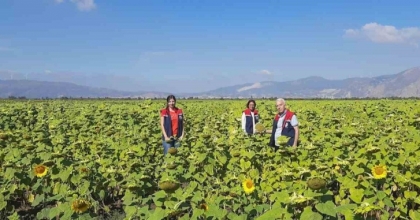 SÖKE’DE 10 BİN DEKARLIK ALANA AYÇİÇEĞİ TOHUMU DAĞITILACAK

