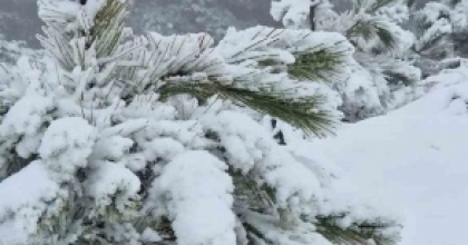 MUĞLA’YA MEVSİMİN İLK KARI YAĞDI
