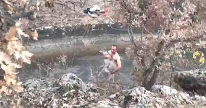 KÜTAHYA’DA SU KANALINA DÜŞEN KARACA KURTARILDI
