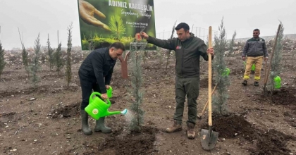 BAYBATUR’DAN YANAN ORMAN ALANLARINA BİN FİDAN
