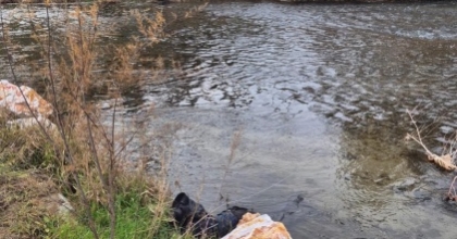 EGE EKSPRESİ’NİN ÇARPTIĞI YAYA HAYATINI KAYBETTİ
