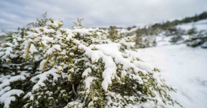 SPİL DAĞI BEYAZ GELİNLİĞİNİ GİYDİ