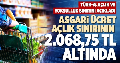 ASGARİ ÜCRET AÇLIK SINIRININ 2.068,75 TL ALTINDA