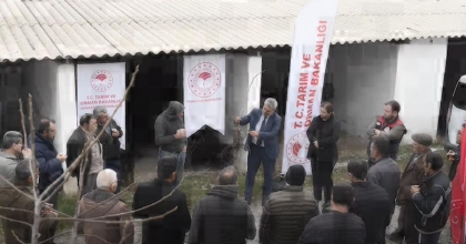 CEVİZ ÜRETİCİLERİNE FİDAN DAĞITIMI