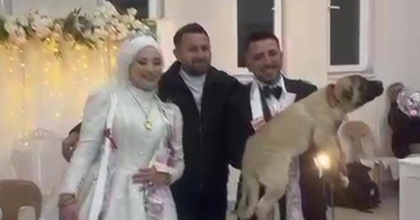 DAMADIN ARKADAŞI DÜĞÜN HEDİYESİ KÖPEK HEDİYE ETTİ