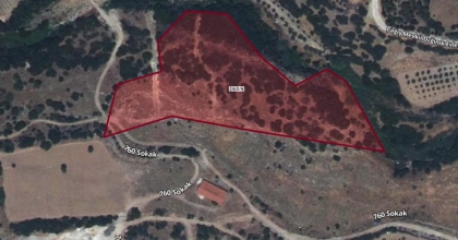 DENİZLİ’DE 2 ALAN ORMAN SINIRLARI DIŞINA ÇIKARILDI