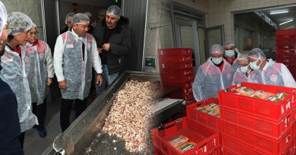 DEPO FAALİYETİ GÖSTEREN İŞLETMELERE DENETİM