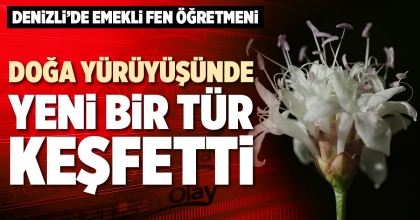 DOĞA YÜRÜYÜŞÜNDE YENİ BİR TÜR KEŞFETTİ
