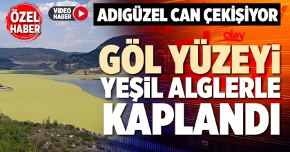GÖL YÜZEYİ YEŞİL ALGLERLE KAPLANDI