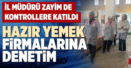 HAZIR YEMEK FİRMALARINA DENETİM