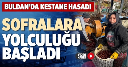 BULDAN’DA KESTANE HASADI SOFRALARA YOLCULUĞU BAŞLADI