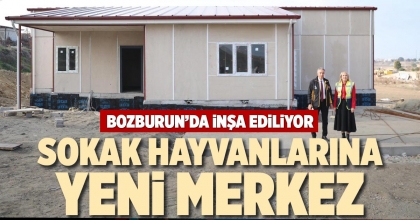 SOKAK HAYVANLARINA YENİ MERKEZ
