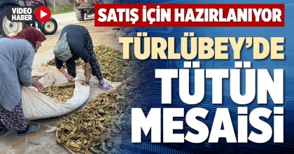 TÜRLÜBEY’DE TÜTÜN MESAİSİ