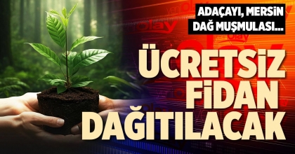 ÜCRETSİZ FİDAN DAĞITILACAK