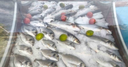 SÖKE’DE 814 SU ÜRÜN DENETİMİ YAPILDI
