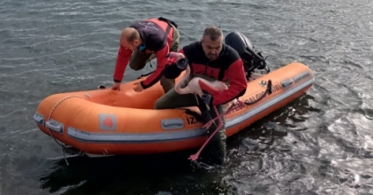 MİSİNA TUZAĞINDAN ÖZGÜRLÜĞE
