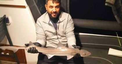 BODRUM AÇIKLARINDA OLTAYA KÖPEK BALIĞI TAKILDI
