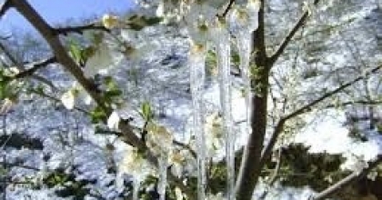 MUĞLA İÇİN KRİTİK UYARI: DONDURUCU SOĞUKLAR GELİYOR
