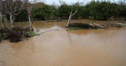 KUŞADASI’NDA BAHÇELER GÖLE DÖNDÜ, AĞAÇLAR SULAR ALTINDA KALDI
