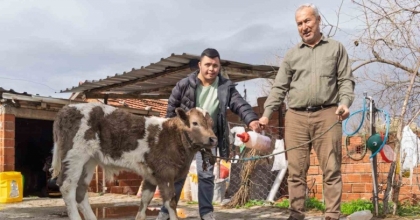 ÇİFTÇİYE BUZAĞI KİTİ VE DEZENFEKTAN DESTEĞİ