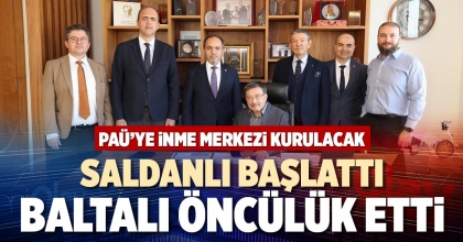 SALDANLI BAŞLATTI, BALTALI ÖNCÜLÜK ETTİ