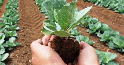  DESTEK BAŞVURULARI BAŞLADI