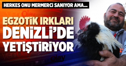 EGZOTİK IRKLARI DENİZLİ’DE YETİŞTİRİYOR