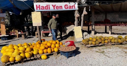 HAYATINI YEREL TOHUMLARI KORUMAYA ADADI