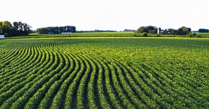 KIRSAL KALKINMADA YENİ DÖNEM