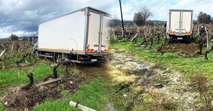 SABIKALI YOLDA KAMYON ÜZÜM BAĞINA GİRDİ