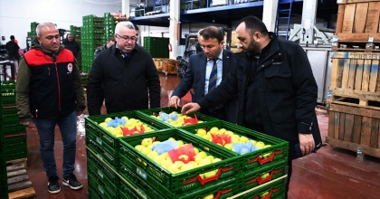 TARIMSAL YATIRIMLARA ZİYARETLER SÜRÜYOR