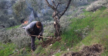 FİLM SAHNESİ DEĞİL GERÇEK HAYAT