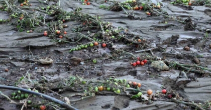 TÜM BİRİKİMLERİNİ 1 SAATTE KAYBETTİLER