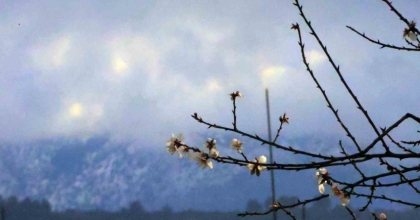 MUĞLA’DA KIŞ VE BAHAR AYNI KAREDE