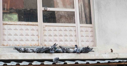 BALKONUNU KUŞLARA SOFRA YAPTI: DEMİRCİLİ ESNAFTAN ÖRNEK DAVRANIŞ
