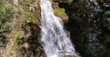 İZMİR’DE YAĞIŞLARIN ARDINDAN SANCAKLI ŞELALESİ COŞTU
