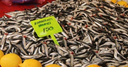 MENTEŞE PAZARINDA HAMSİ UCUZLADI