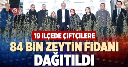 19 İLÇEDE ÇİFTÇİLERE 84 BİN ZEYTİN FİDANI DAĞITILDI